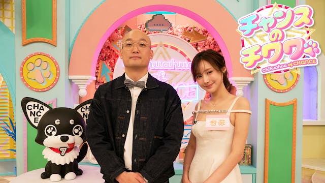 チャンスのチワワ