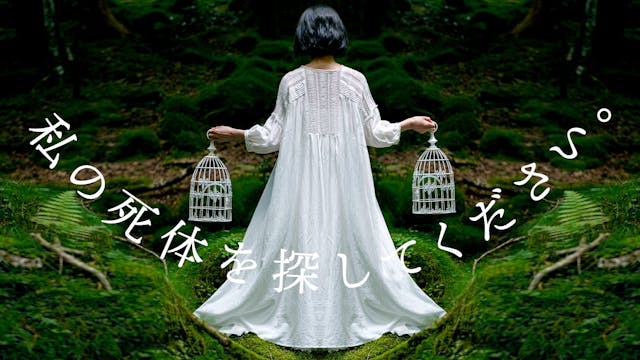 私の死体を探してください。