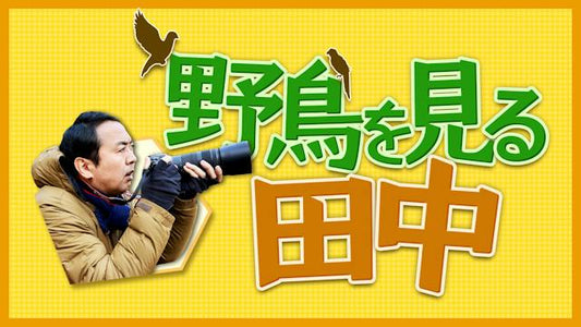 野鳥を見る田中